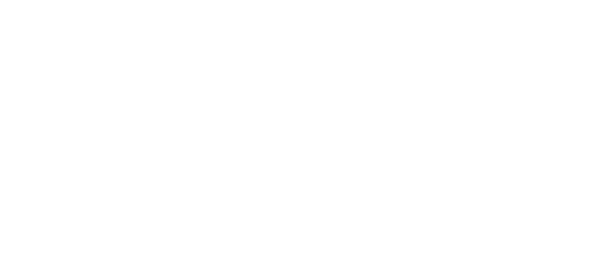 Famas System